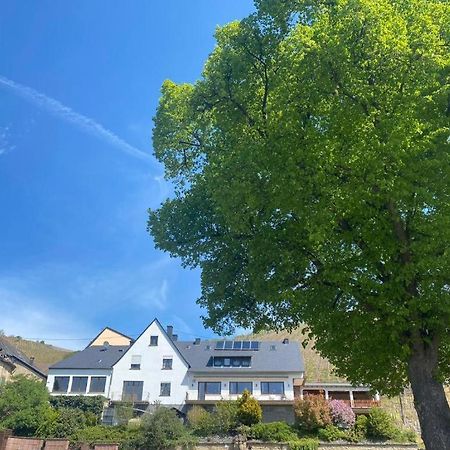 Chateau-De-La-Moselle Kinheim Екстер'єр фото