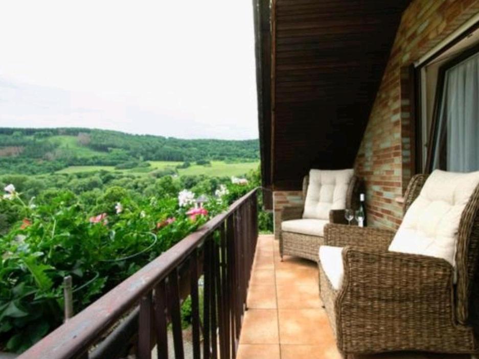 Chateau-De-La-Moselle Kinheim Екстер'єр фото