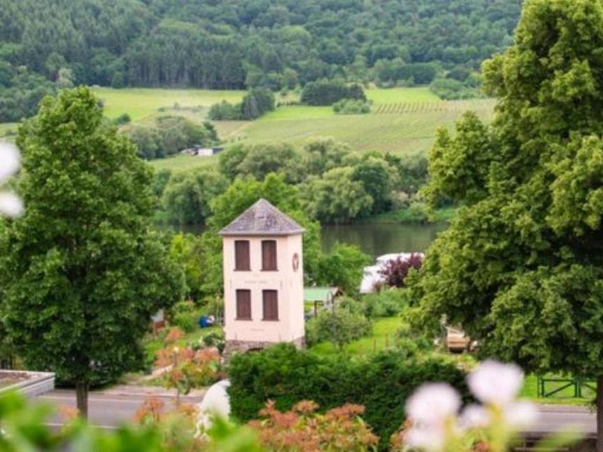 Chateau-De-La-Moselle Kinheim Екстер'єр фото
