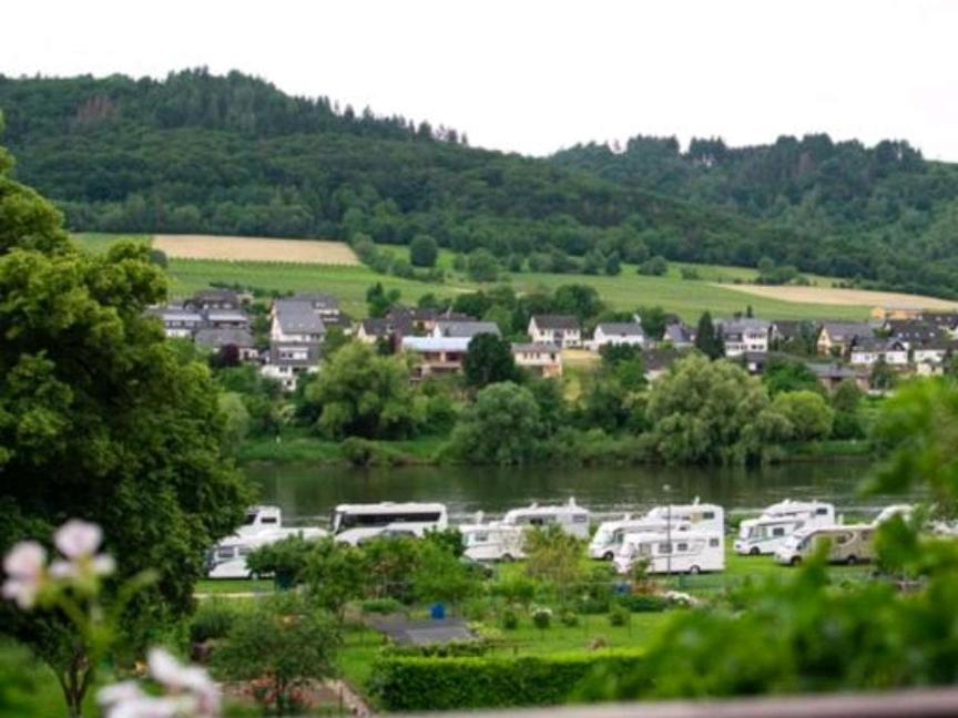 Chateau-De-La-Moselle Kinheim Екстер'єр фото