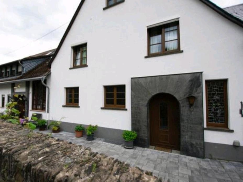 Chateau-De-La-Moselle Kinheim Екстер'єр фото