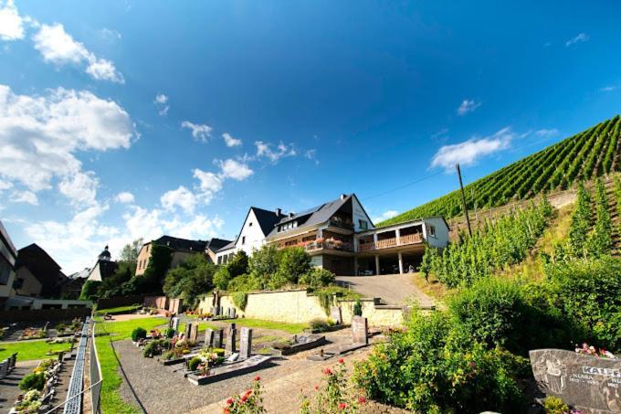 Chateau-De-La-Moselle Kinheim Екстер'єр фото